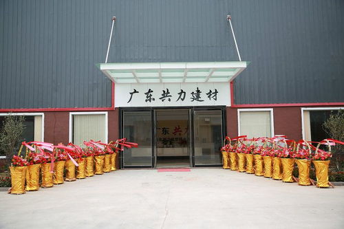 廣東供應(yīng)環(huán)保型3mm樹(shù)脂瓦塑鋼瓦仿古瓦 質(zhì)量保證 塑料建材廠(chǎng)家