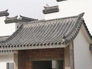 綠蘿吊蘭盆景綠蘿吊蘭批發(fā) 廣州綠蘿吊蘭 供應(yīng)綠蘿吊蘭 廣州卉景供應(yīng)180綠蘿吊蘭 廣州青葉180綠蘿吊蘭 供應(yīng)綠蘿吊蘭供應(yīng)綠蘿吊蘭批發(fā) 廣州綠蘿吊蘭 供應(yīng)綠蘿吊蘭 廣州卉景供應(yīng)綠蘿吊蘭