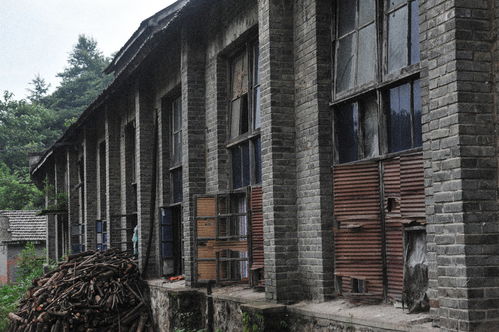邵陽炮彈軍工廠,藏于天然洞穴之中,曾獲得多次榮譽,現荒草叢生