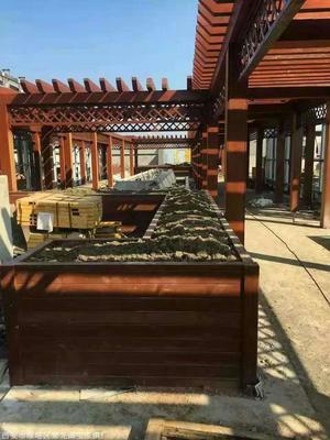西安仿古廊架,實木廊架,景觀廊架,木廊架定做