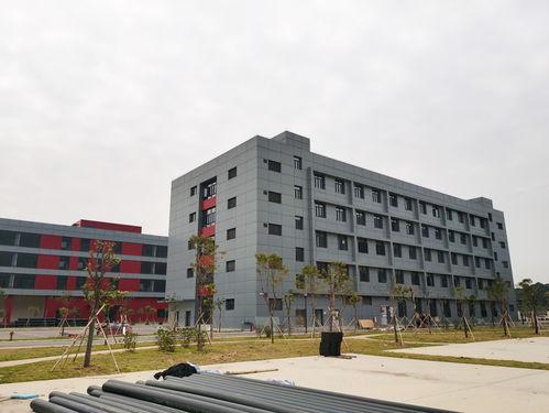承接湖南仿古建筑涂料石感漆水包砂施工工程 工業(yè)廠房翻新施工 自建別墅外墻涂料包工包料施工